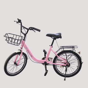 20 Inches Bicycle
