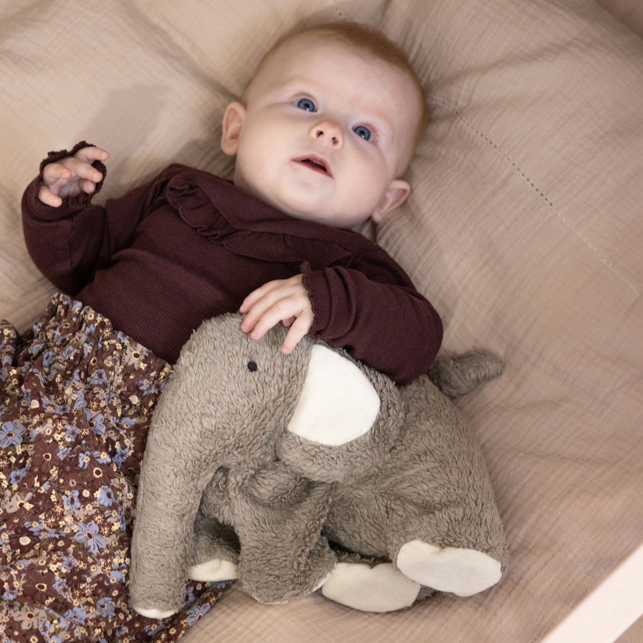 Babykids_Sebra Toys_Premium Quality Sebra, Elephant Heating Soft Toy