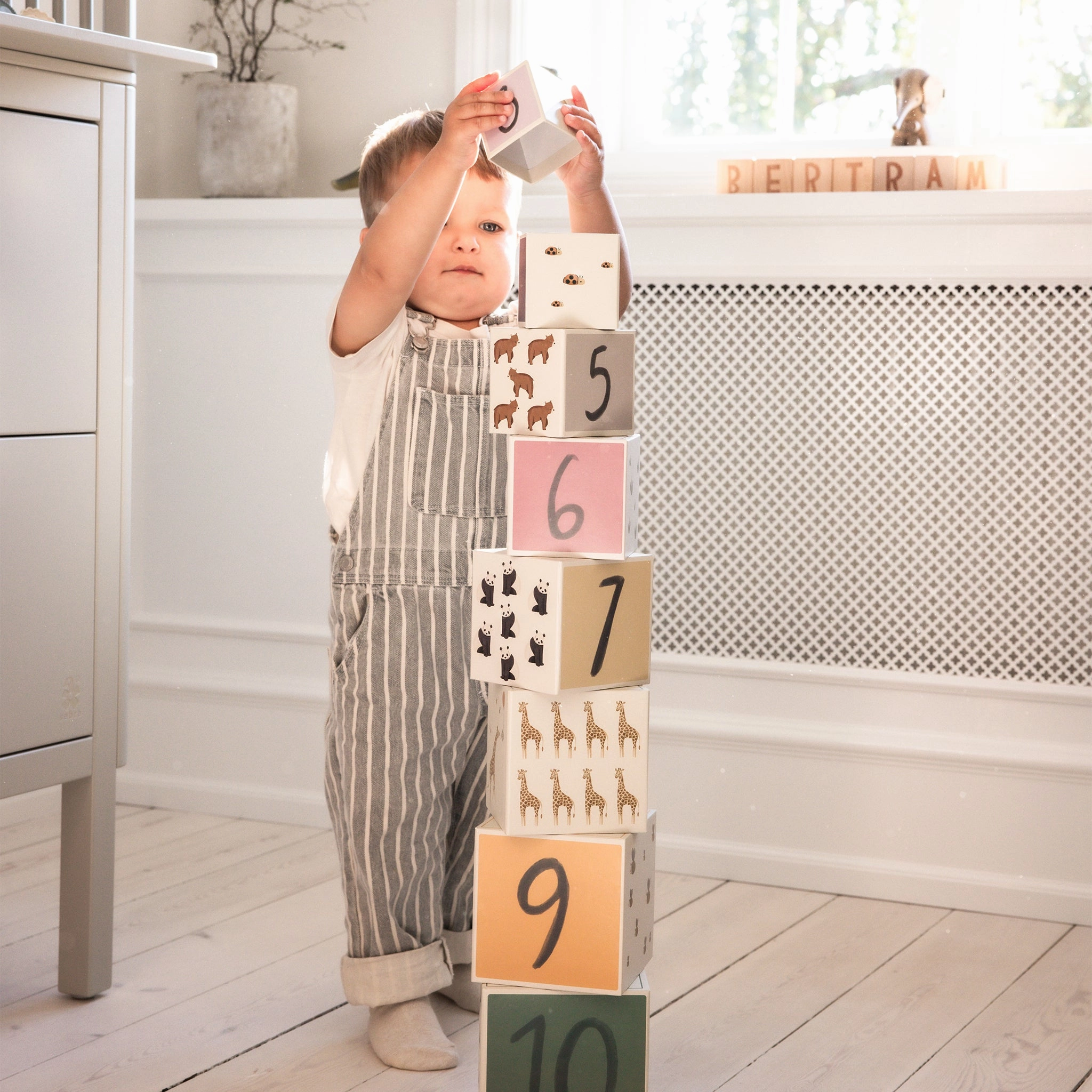 Babykids_Sebra Toys_Premium Quality Sebra, Stacking Blocks, World of Sebra