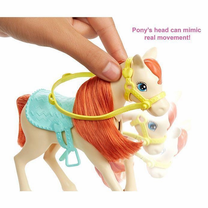 Barbie Dolls, Horses and Accessories