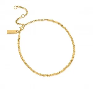 Chlobo Jewellery Gold Mini Cute Anklet GANMC