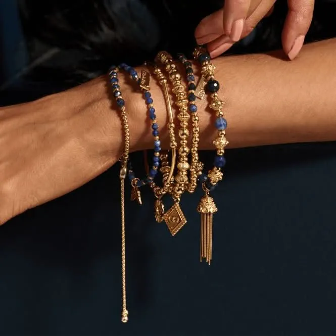 Chlobo Jewellery Gold Moon Magic Bracelet GBCDS3351