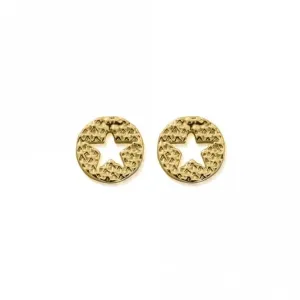 Chlobo Jewellery Gold Sparkle Star In Circle Earrings GEST3098