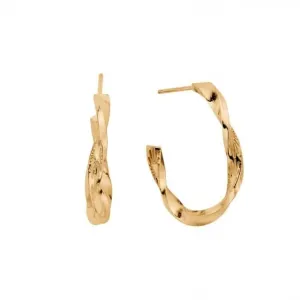 Chlobo Jewellery Gold Sun Twisted Hoop Earrings GEH3207