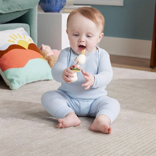 Fisher-Price Sensimals Peg Goose