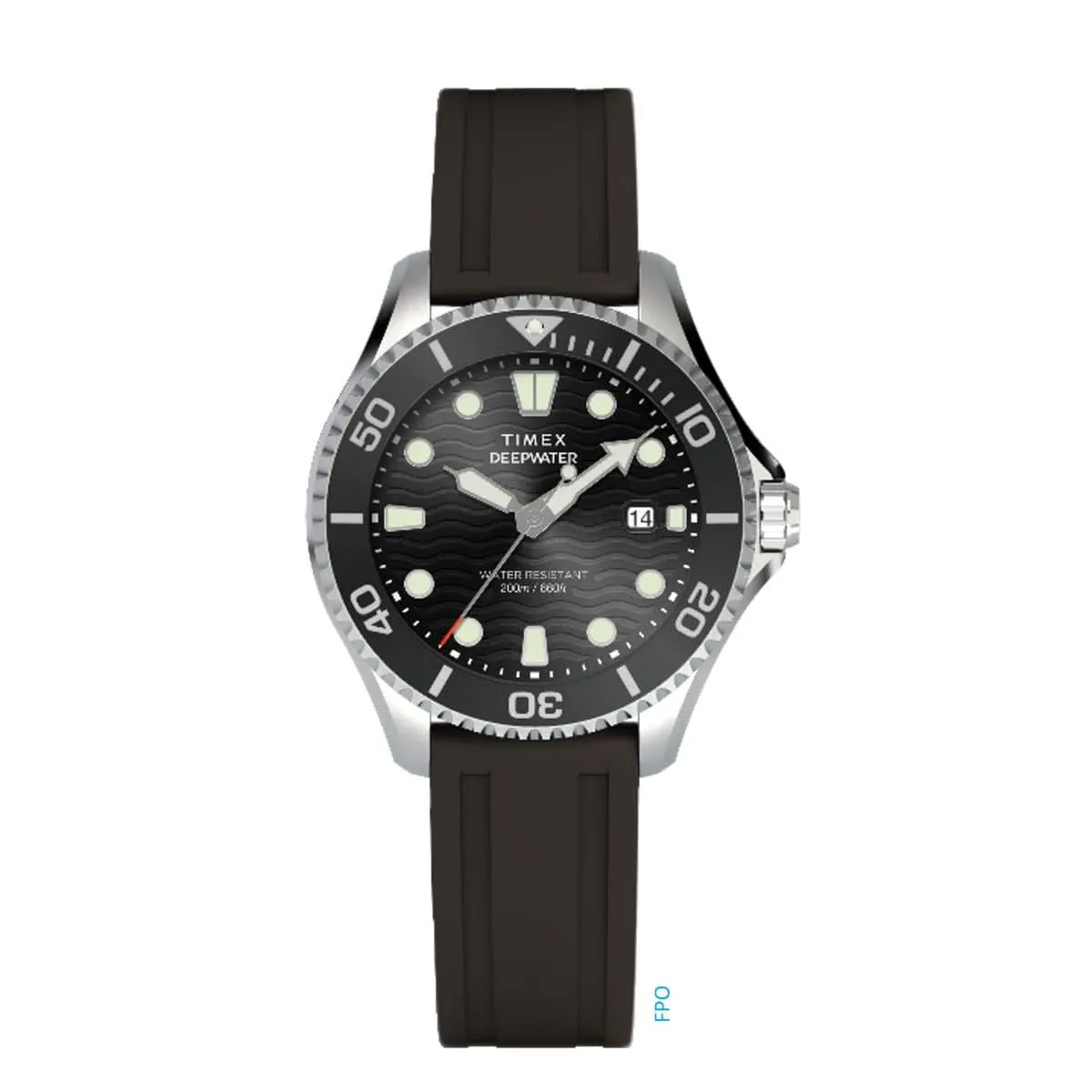Gents Deep Water Meridian Stainless Steel Watch TW2W81600