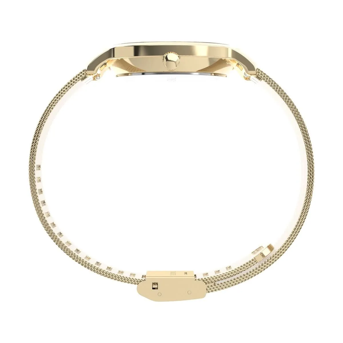 Ladies Transcend Gold Tone Watch TW2Y10300