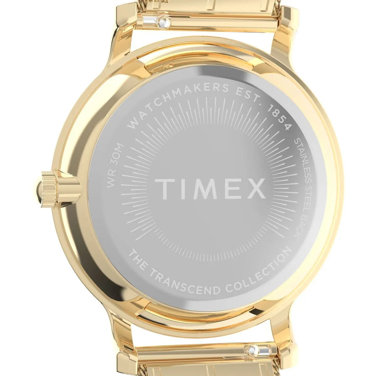 Ladies Transcend Gold Tone Watch TW2Y10300