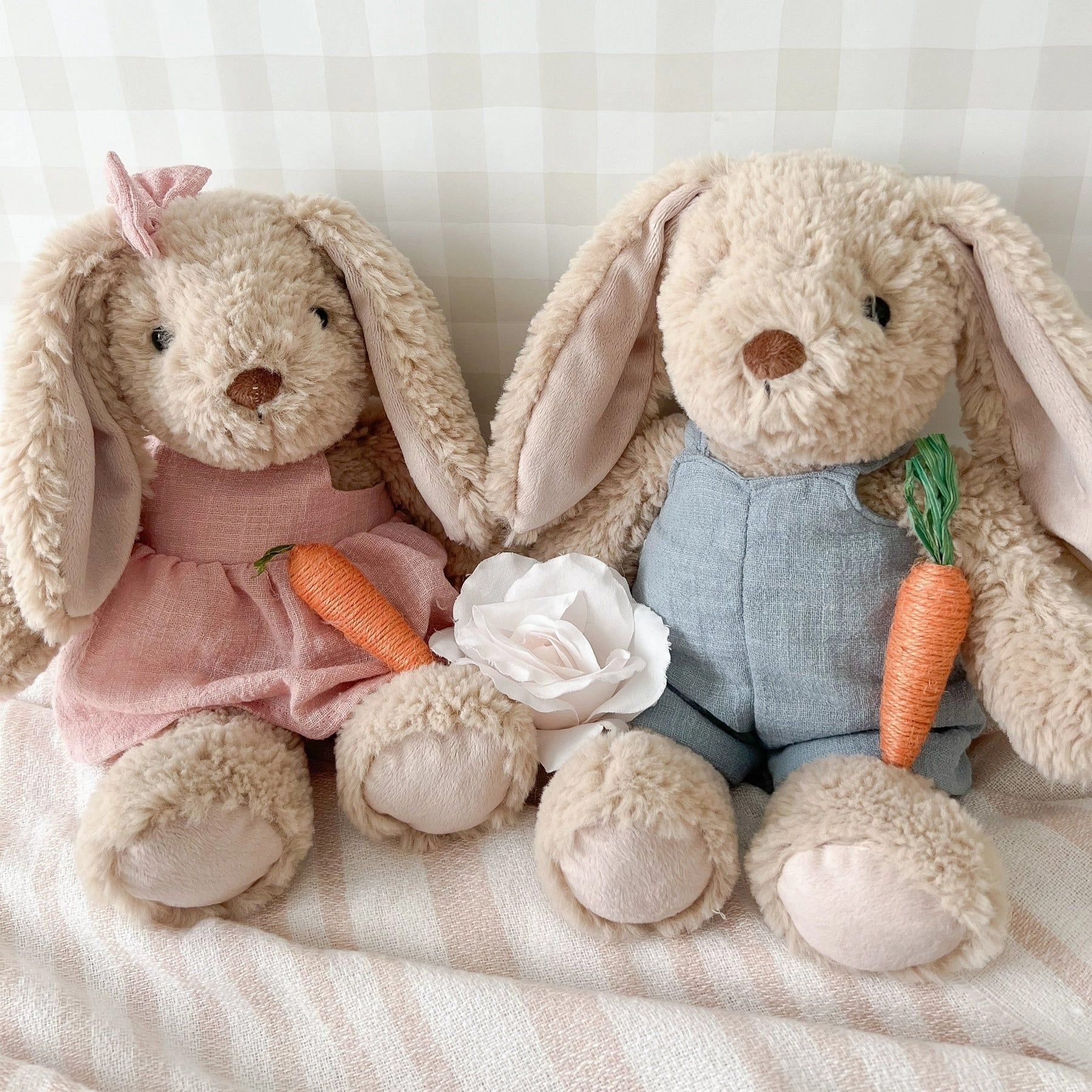 Mon Ami Bramble Bunny / Blue