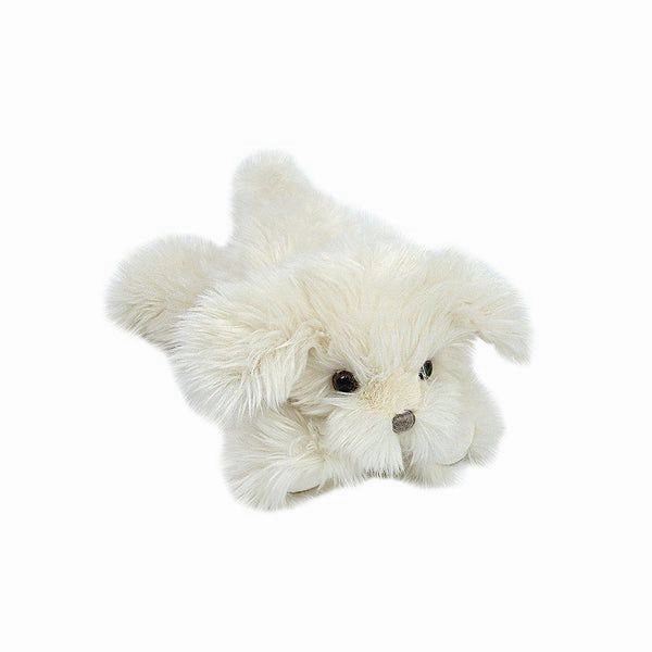 Mon Ami Sugar Maltese Puppy