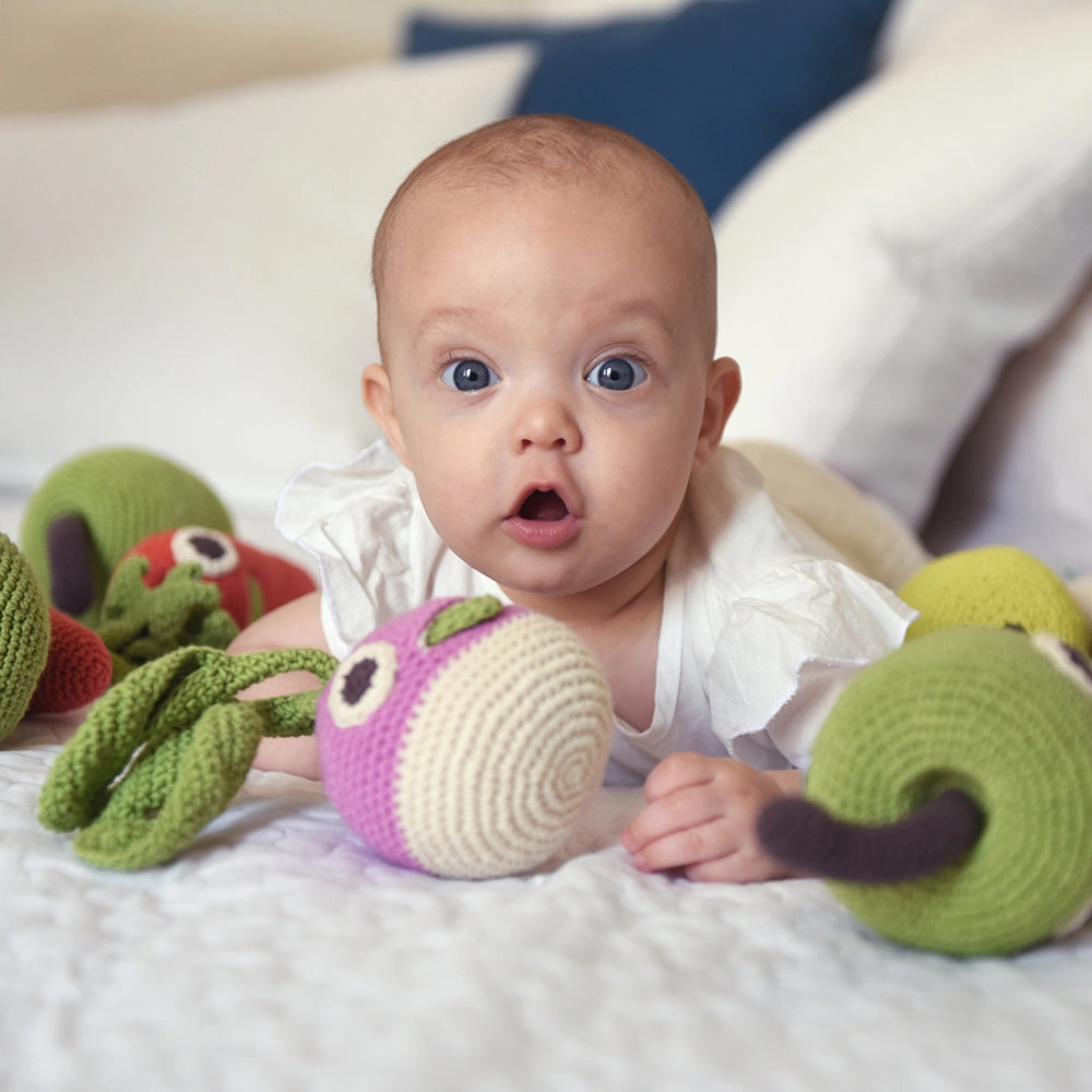 MyuM Elton Apple Reversible Toy