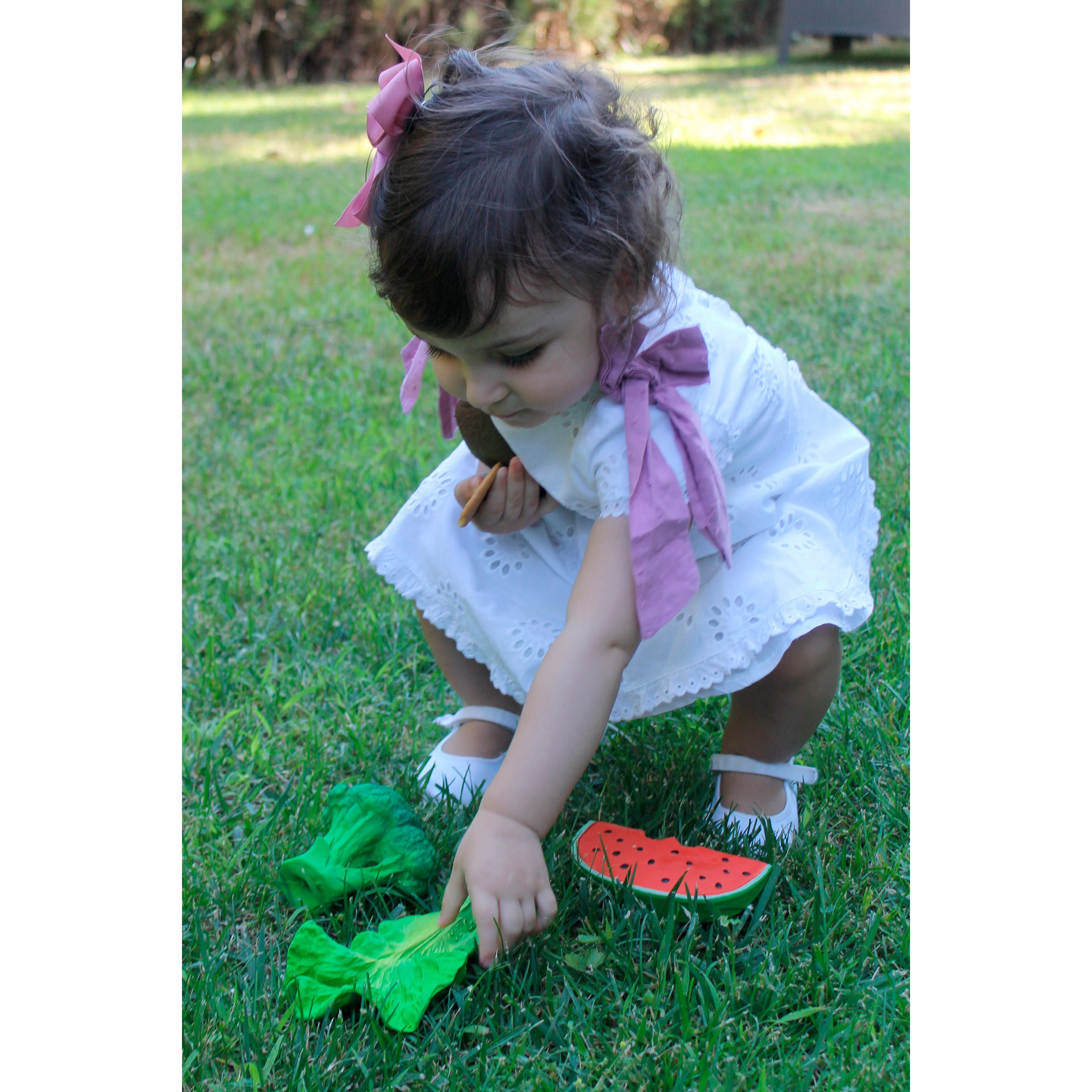 Oli & Carol Brucy the Broccoli Teether