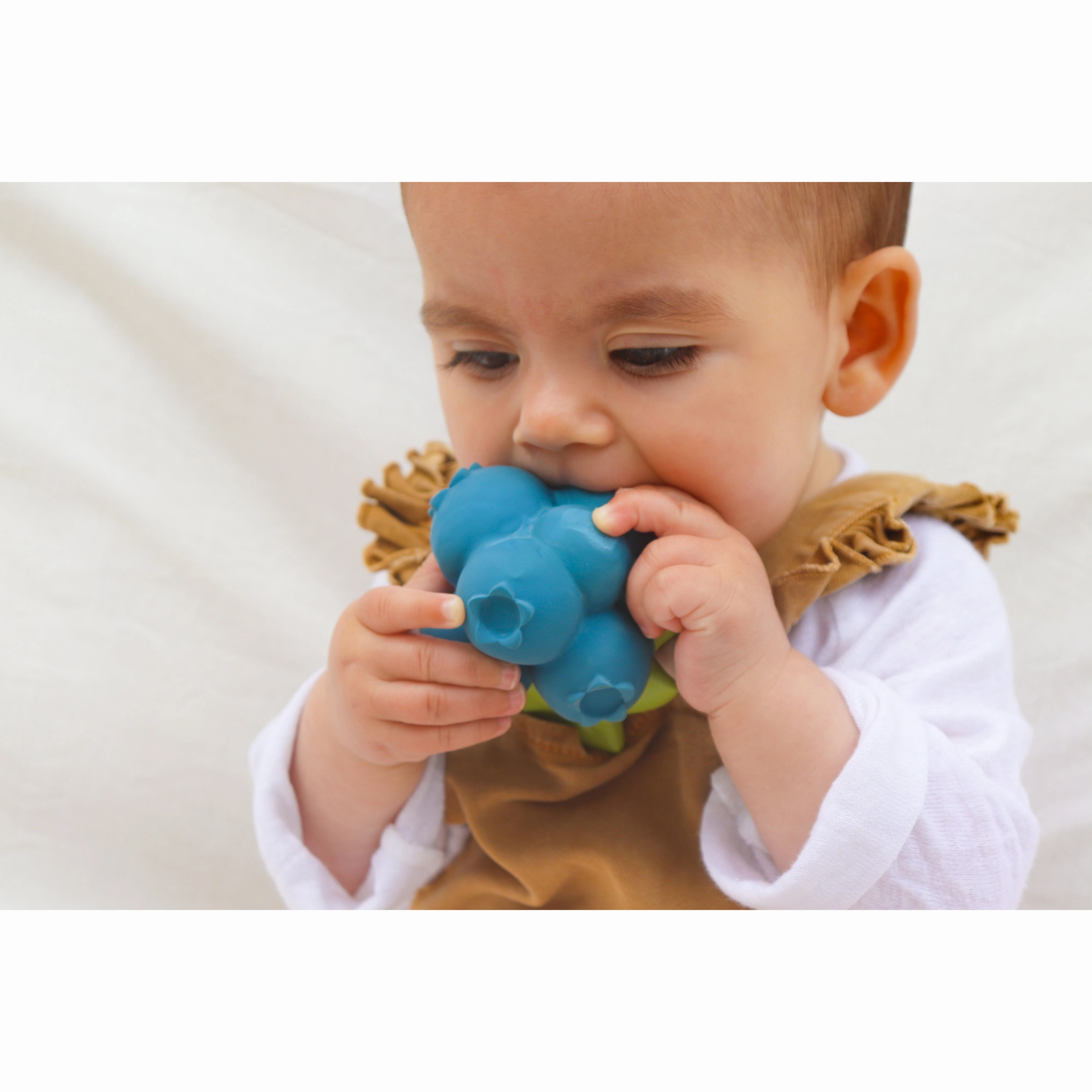 Oli & Carol Jerry The Blueberry Teether