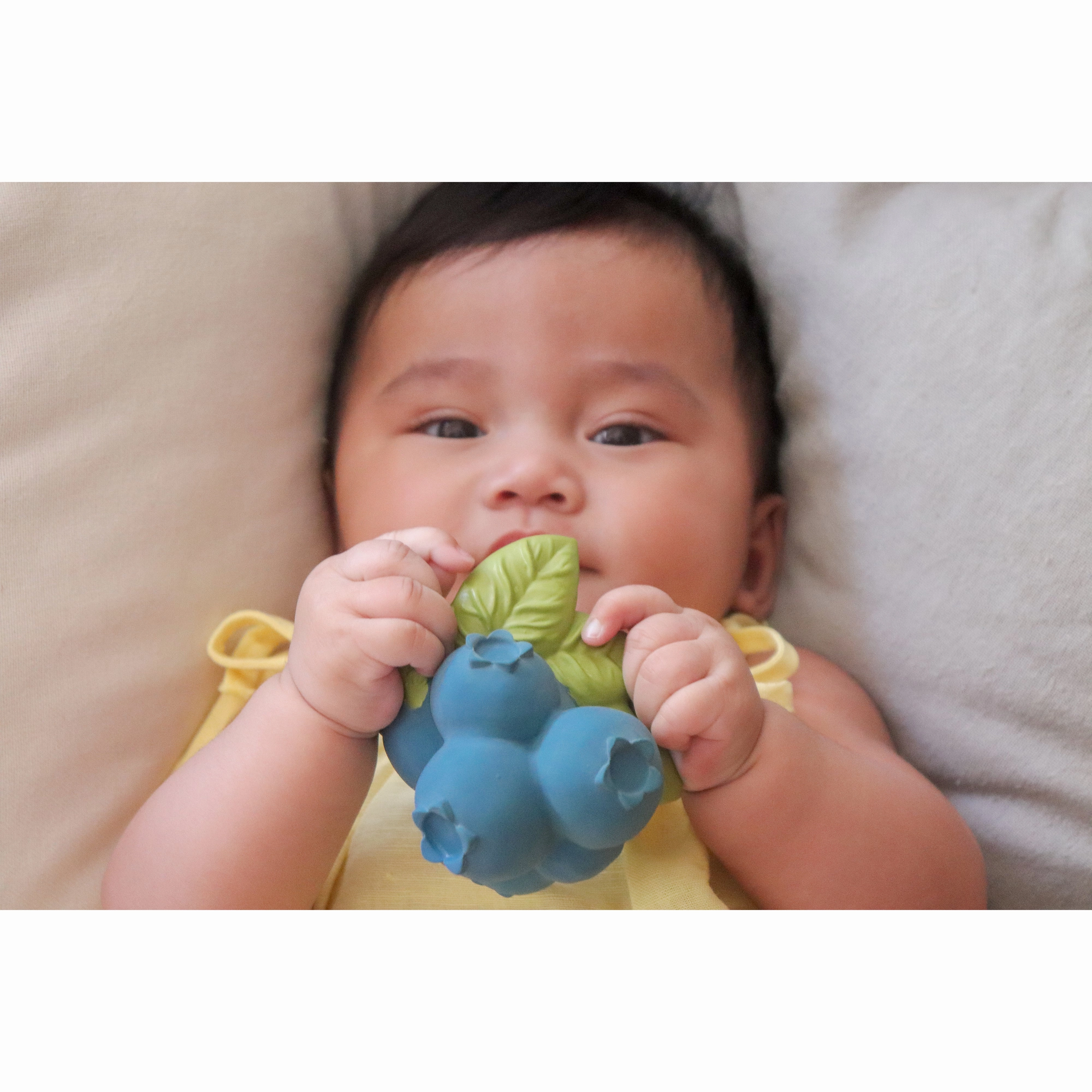 Oli & Carol Jerry The Blueberry Teether