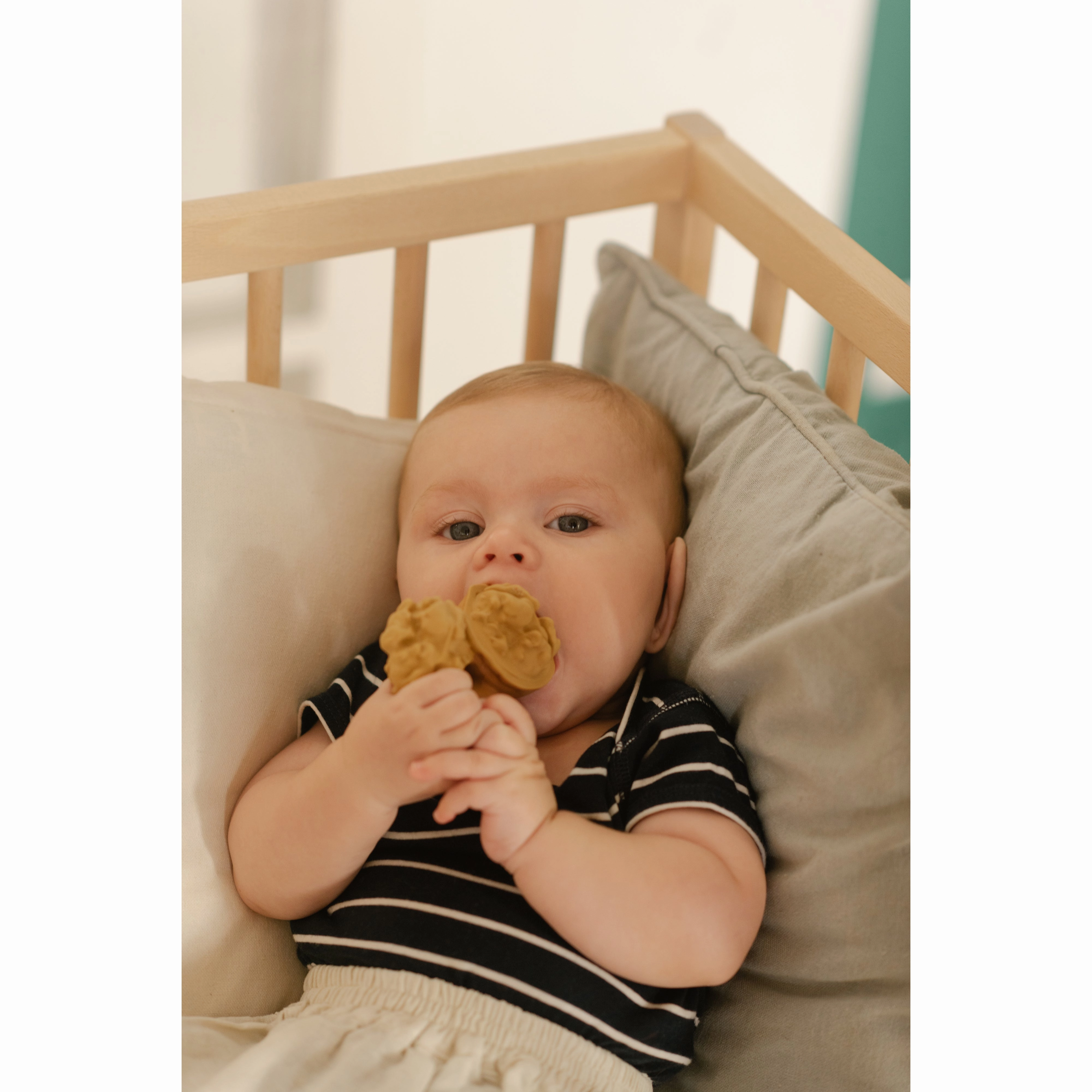 Oli & Carol Nutty The Nut Teether