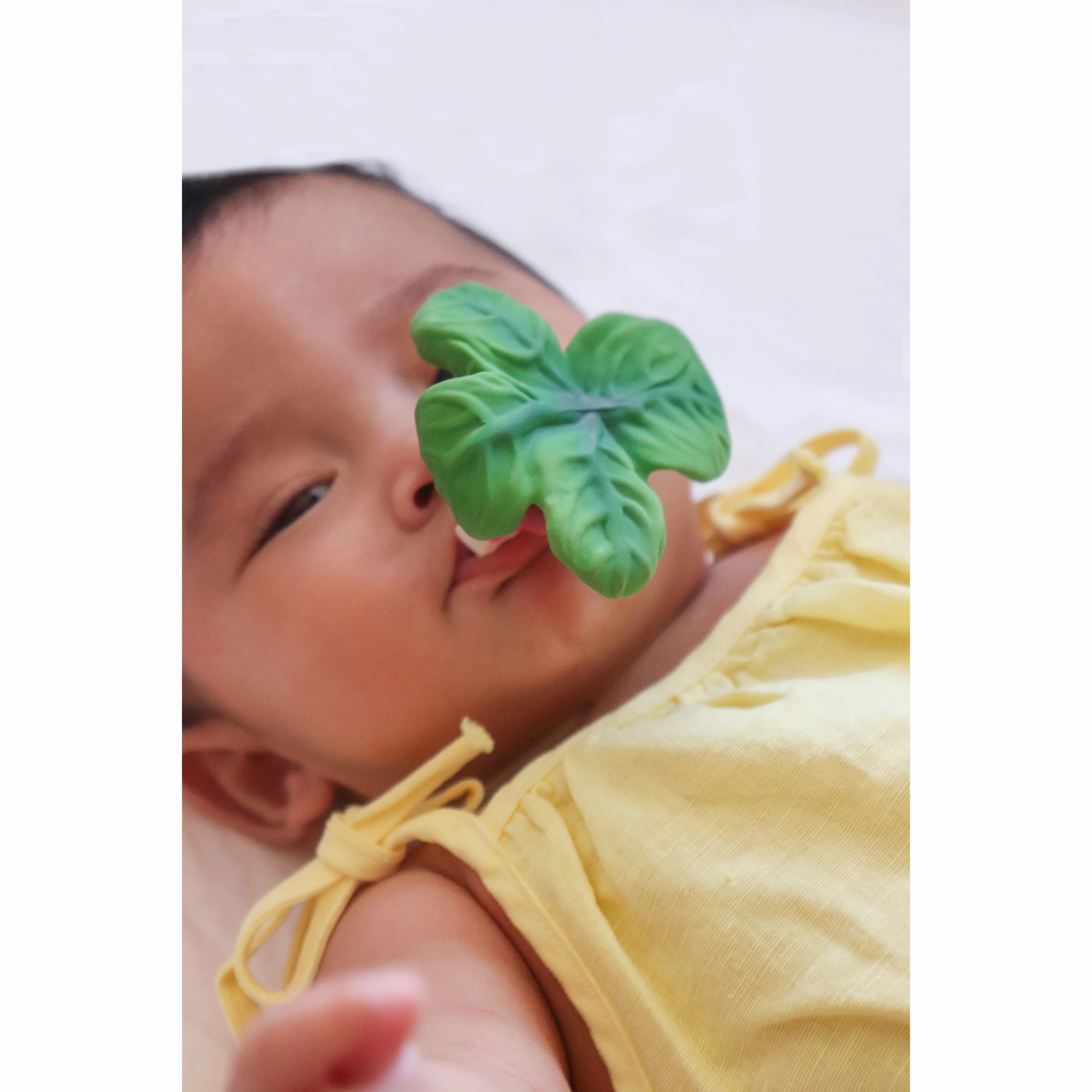 Oli & Carol Ramonita The Radish Teether