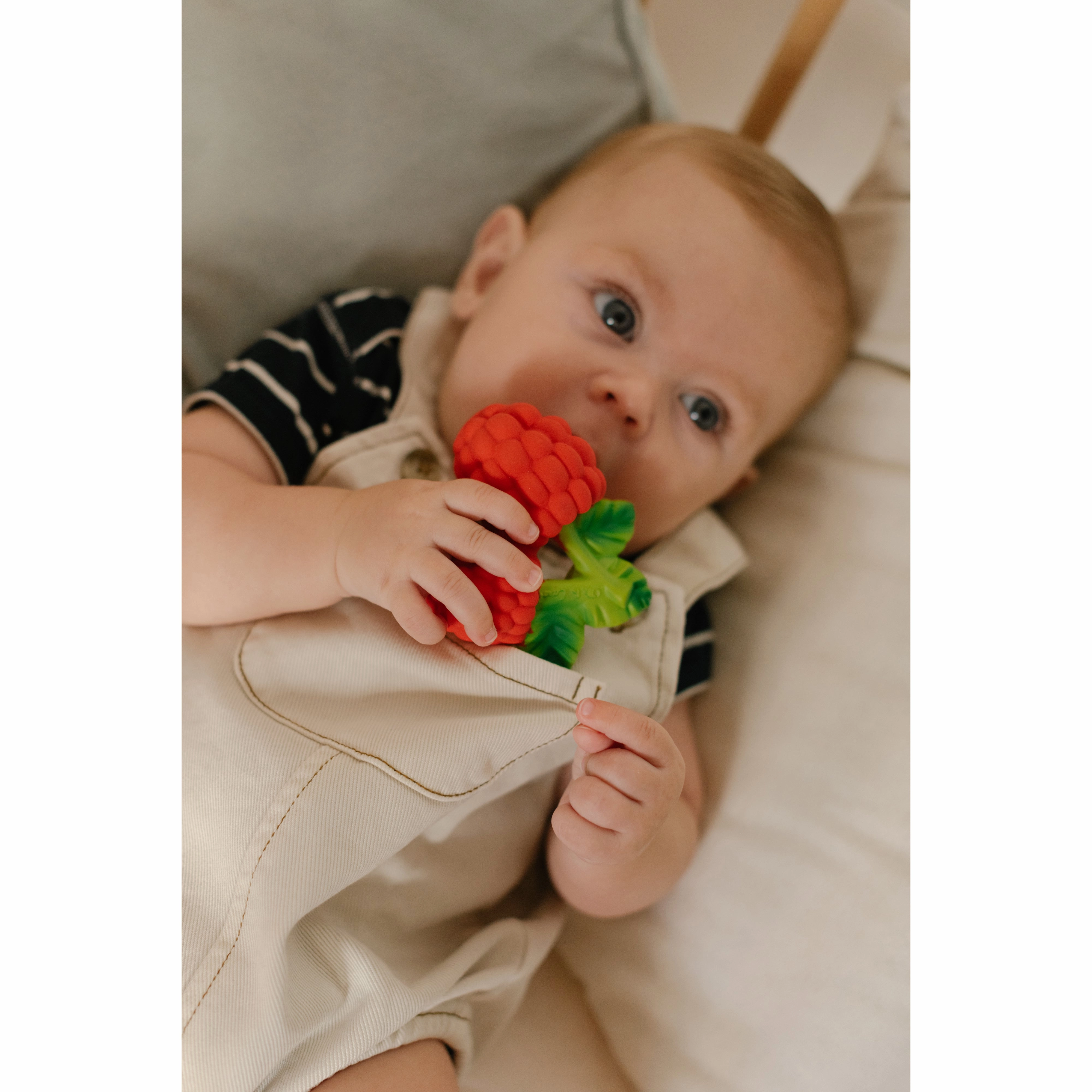 Oli & Carol Valery The Raspberry Teether