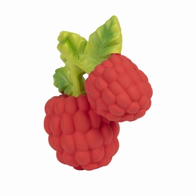 Oli & Carol Valery The Raspberry Teether
