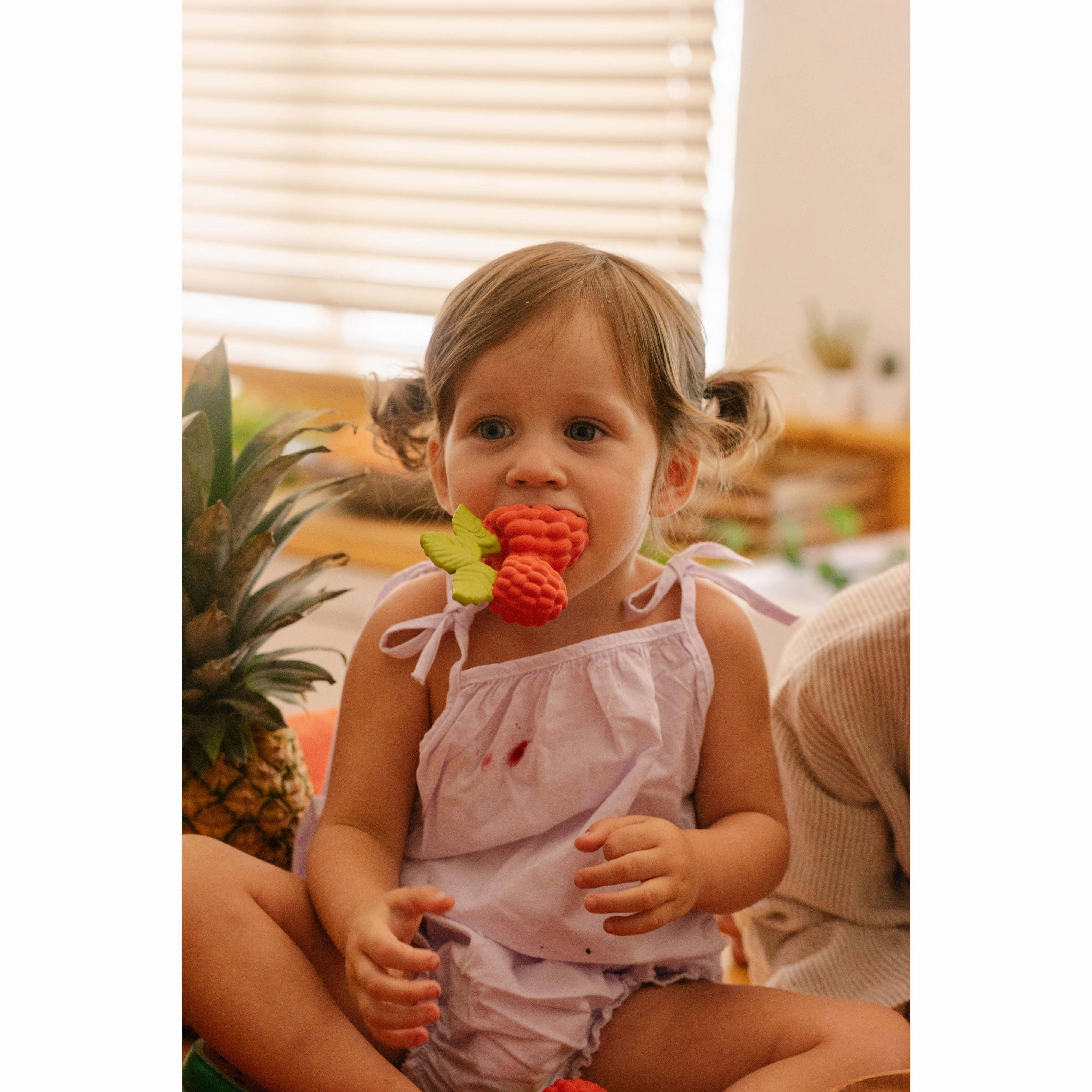 Oli & Carol Valery The Raspberry Teether