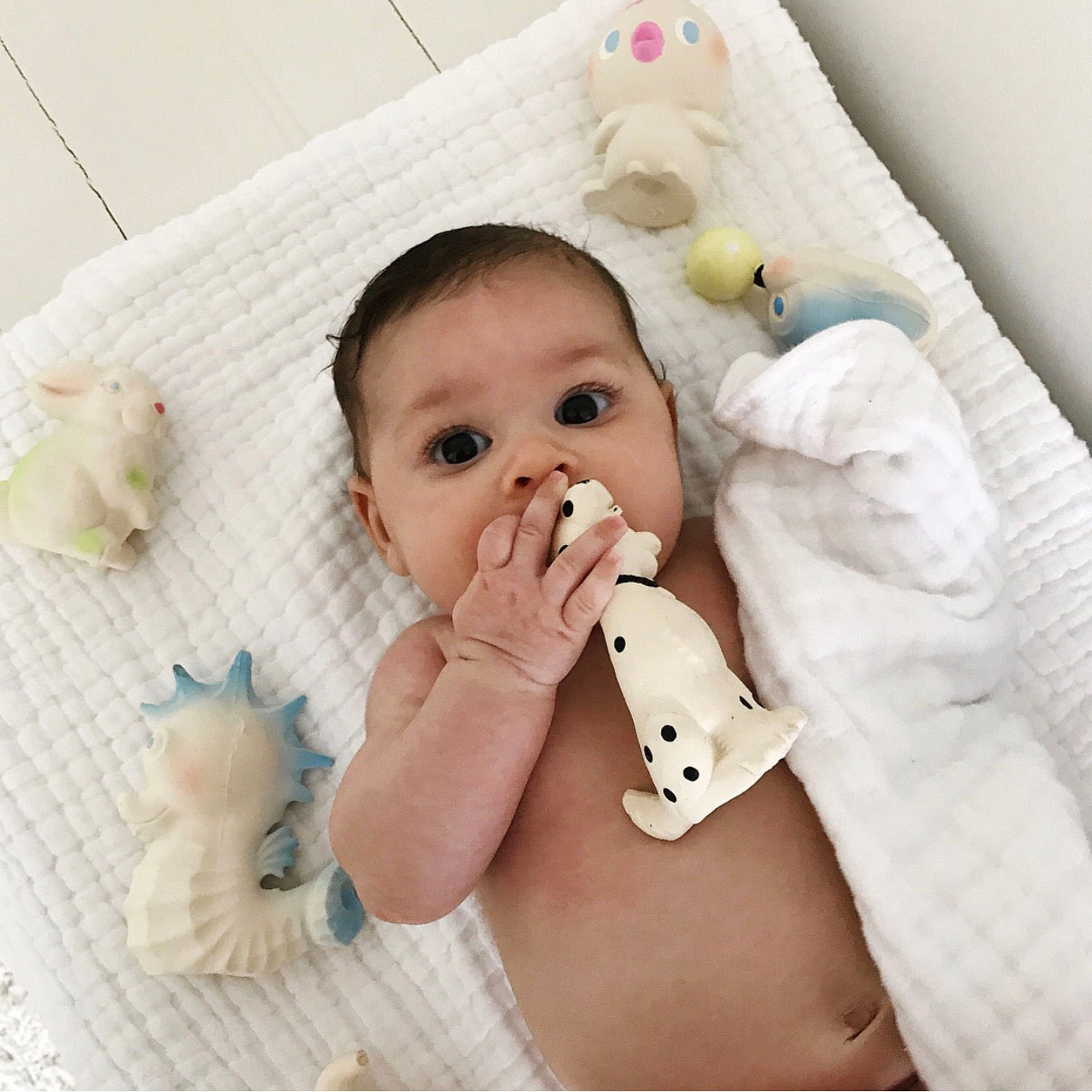 Oli & Carol Vintage Bob the Bunny Teether