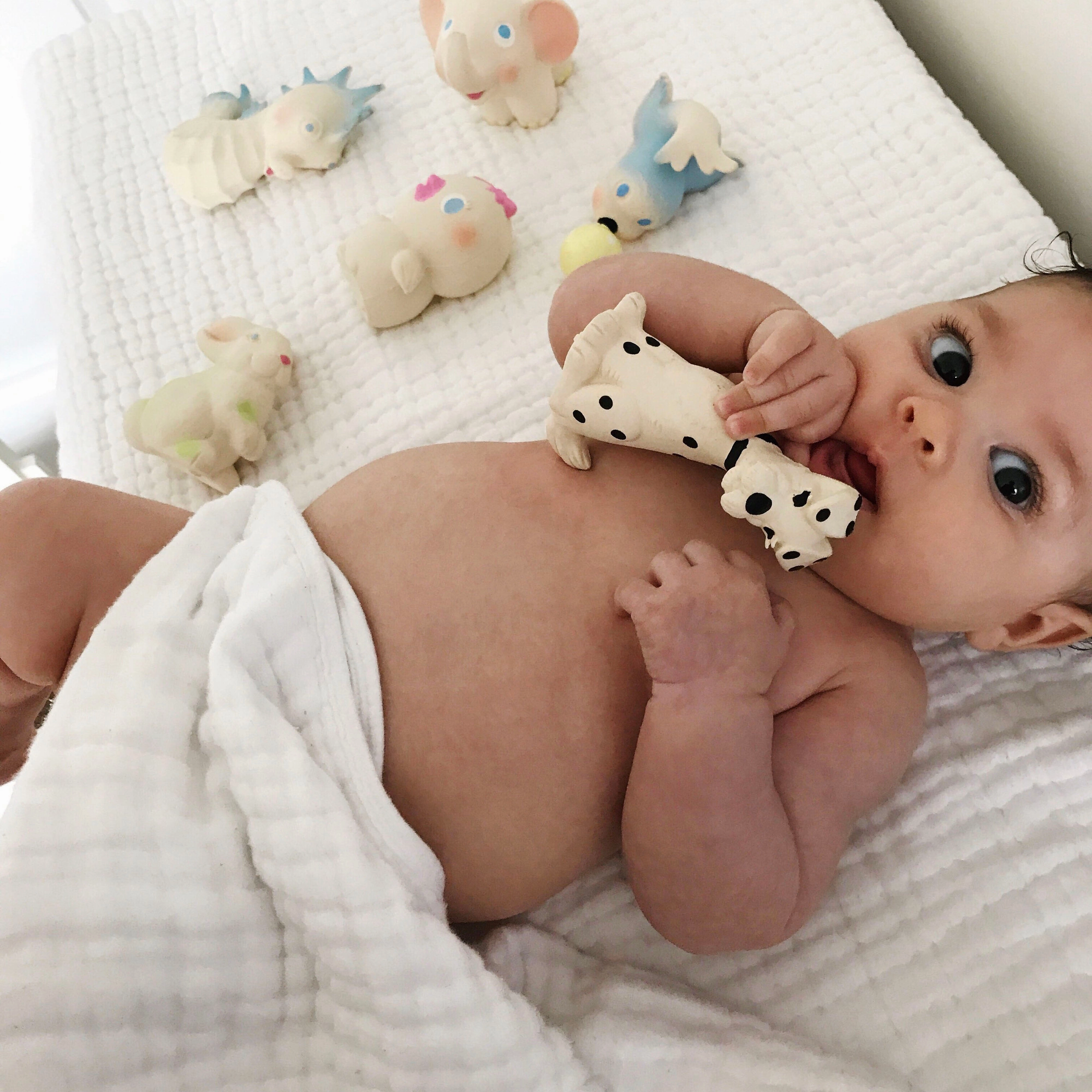 Oli & Carol Vintage Nelly the Elephant Teether