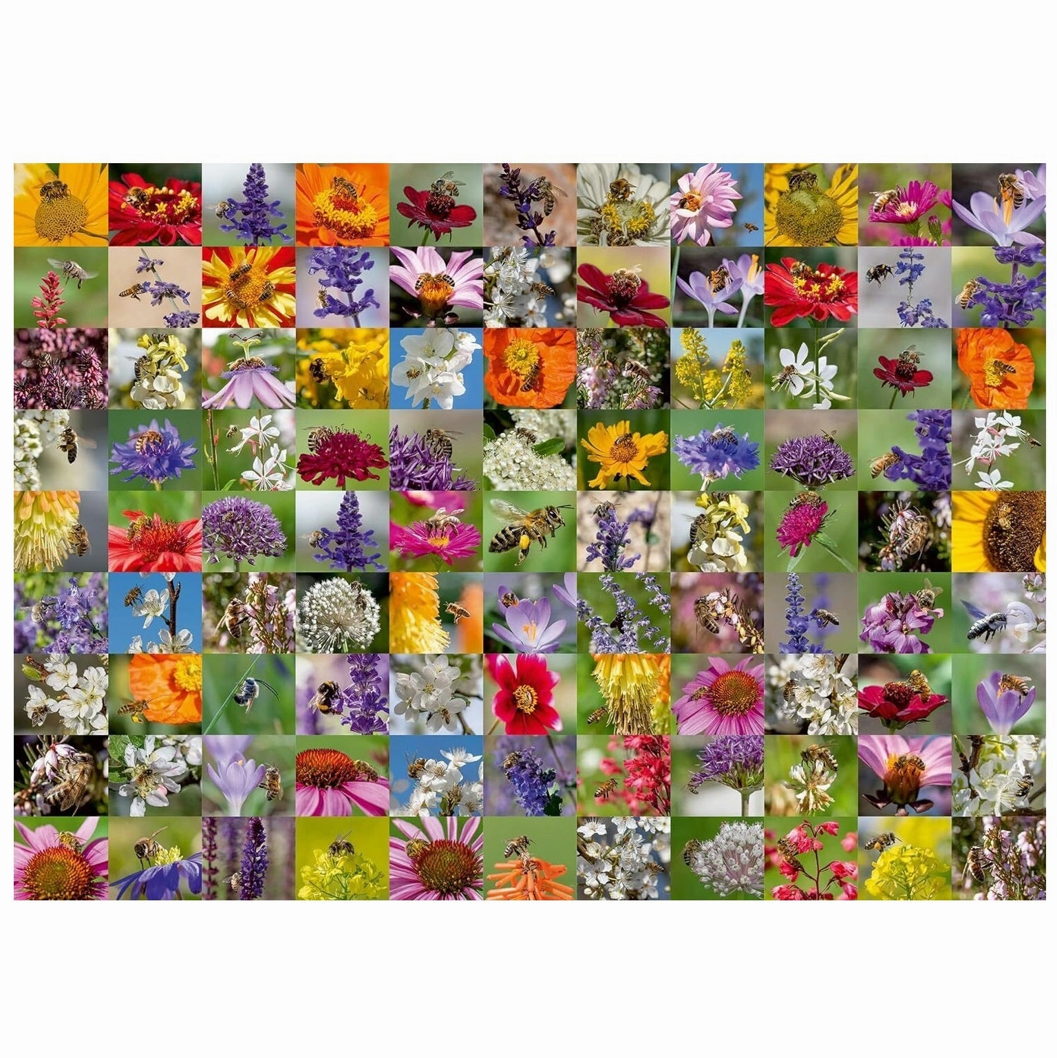 Ravensburger Toys 1000 pc Puzzle - 99 Bees Collage