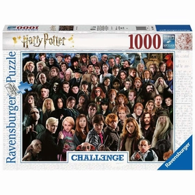 Ravensburger Toys Harry Potter Challenge 1000pc