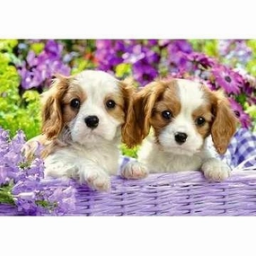 Ravensburger Toys Me and my pal