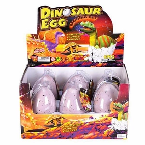 Rhode Island Novelty Toys Toy Network Dinosaur Egg Growing Pet