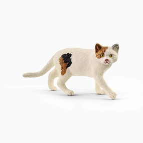 Schleich Toys American Shorthair Cat