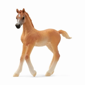 Schleich Toys Arabian Foal - V2