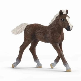 Schleich Toys Black Forest Foal