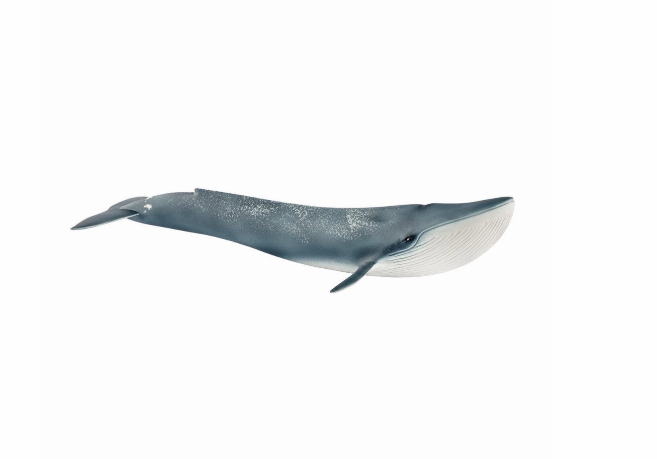 Schleich Toys Blue Whale