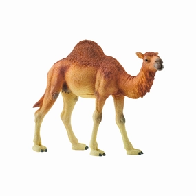 Schleich Toys Dromedary Arabian Camel