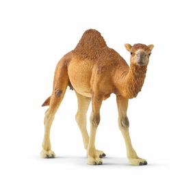 Schleich Toys Dromedary