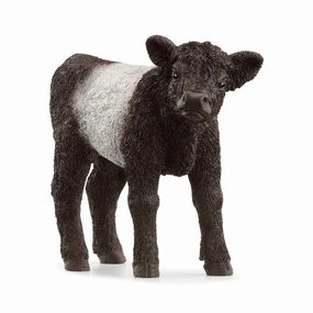 Schleich Toys Galloway Calf