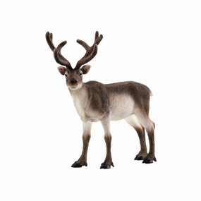 Schleich Toys Reindeer