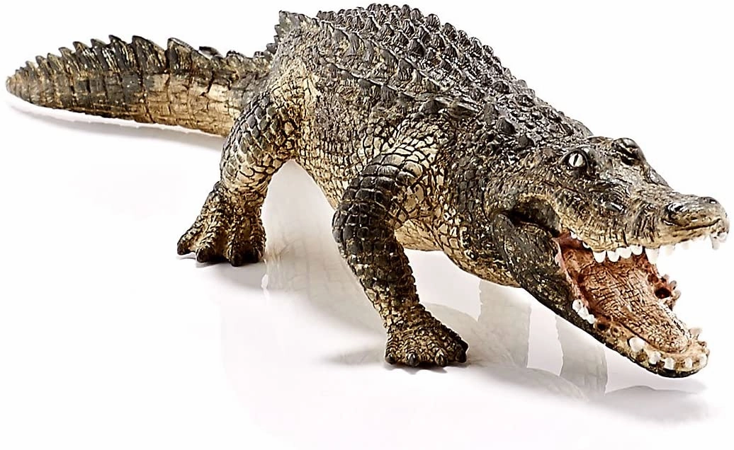 Schleich Toys Schleich 14727 Alligator Figurine