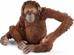 Schleich Toys Schleich 14775 Orangutan, Female