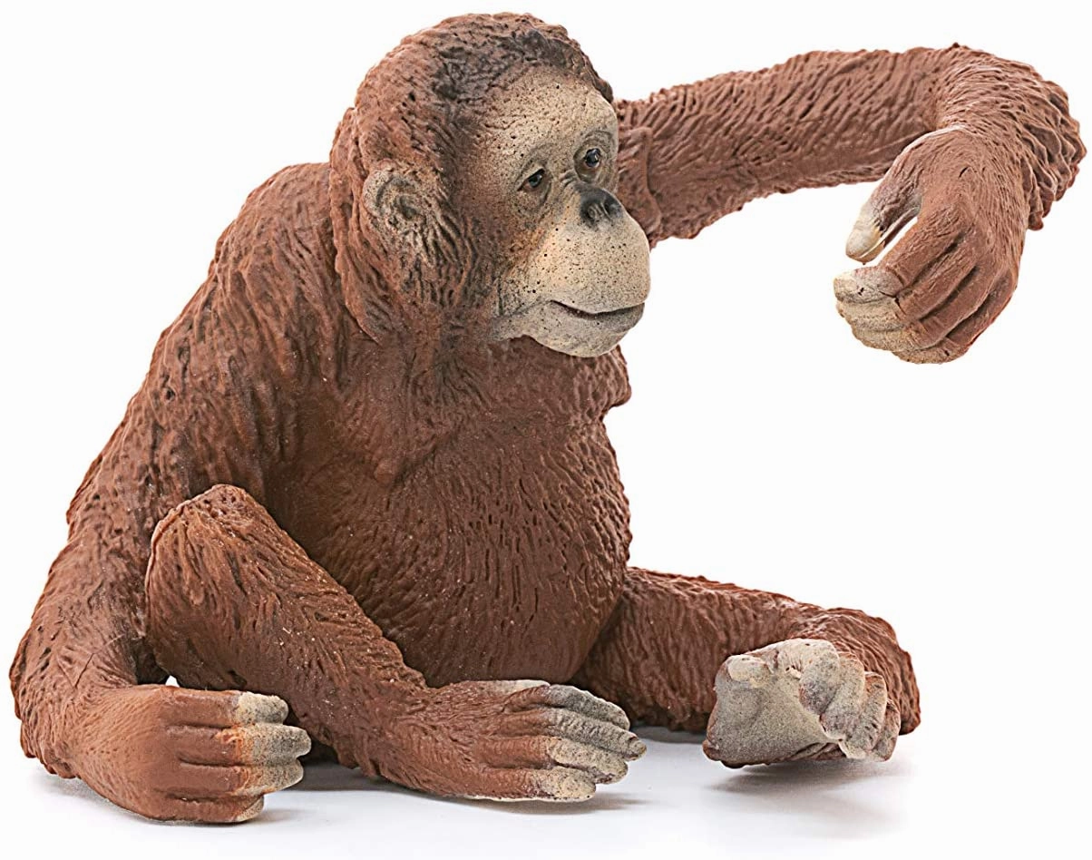 Schleich Toys Schleich 14775 Orangutan, Female