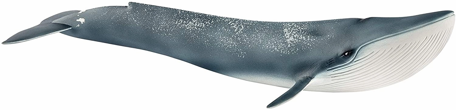 Schleich Toys Schleich 14806 Blue Whale