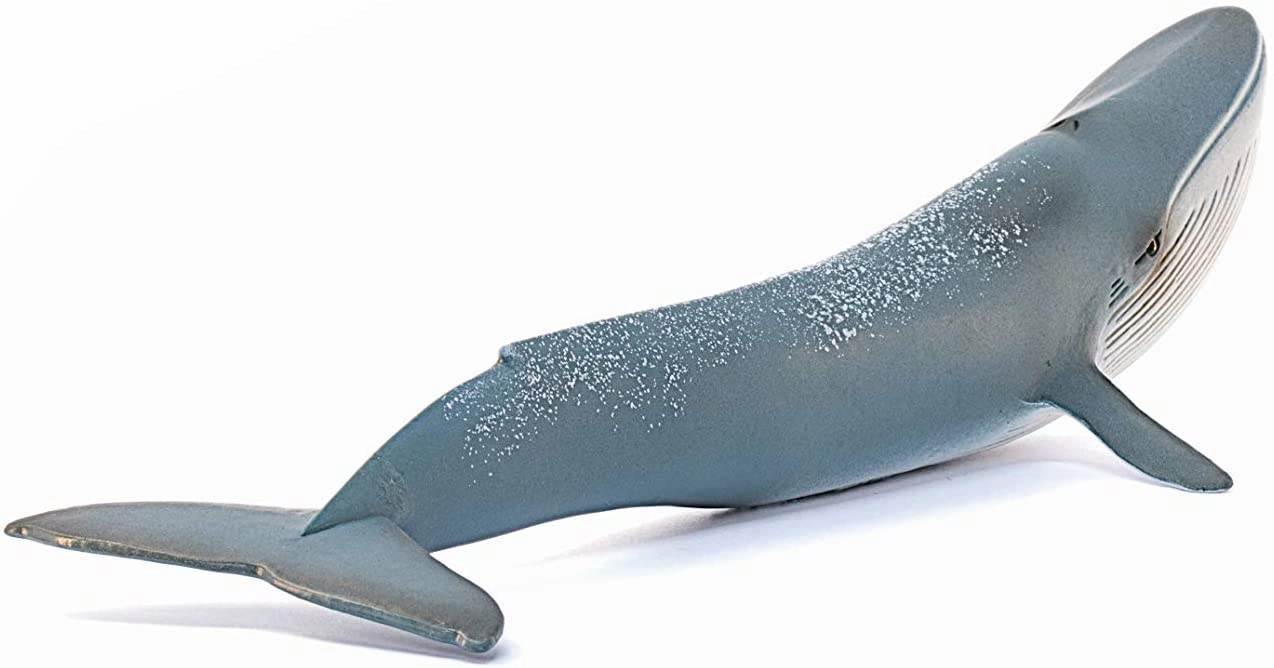Schleich Toys Schleich 14806 Blue Whale