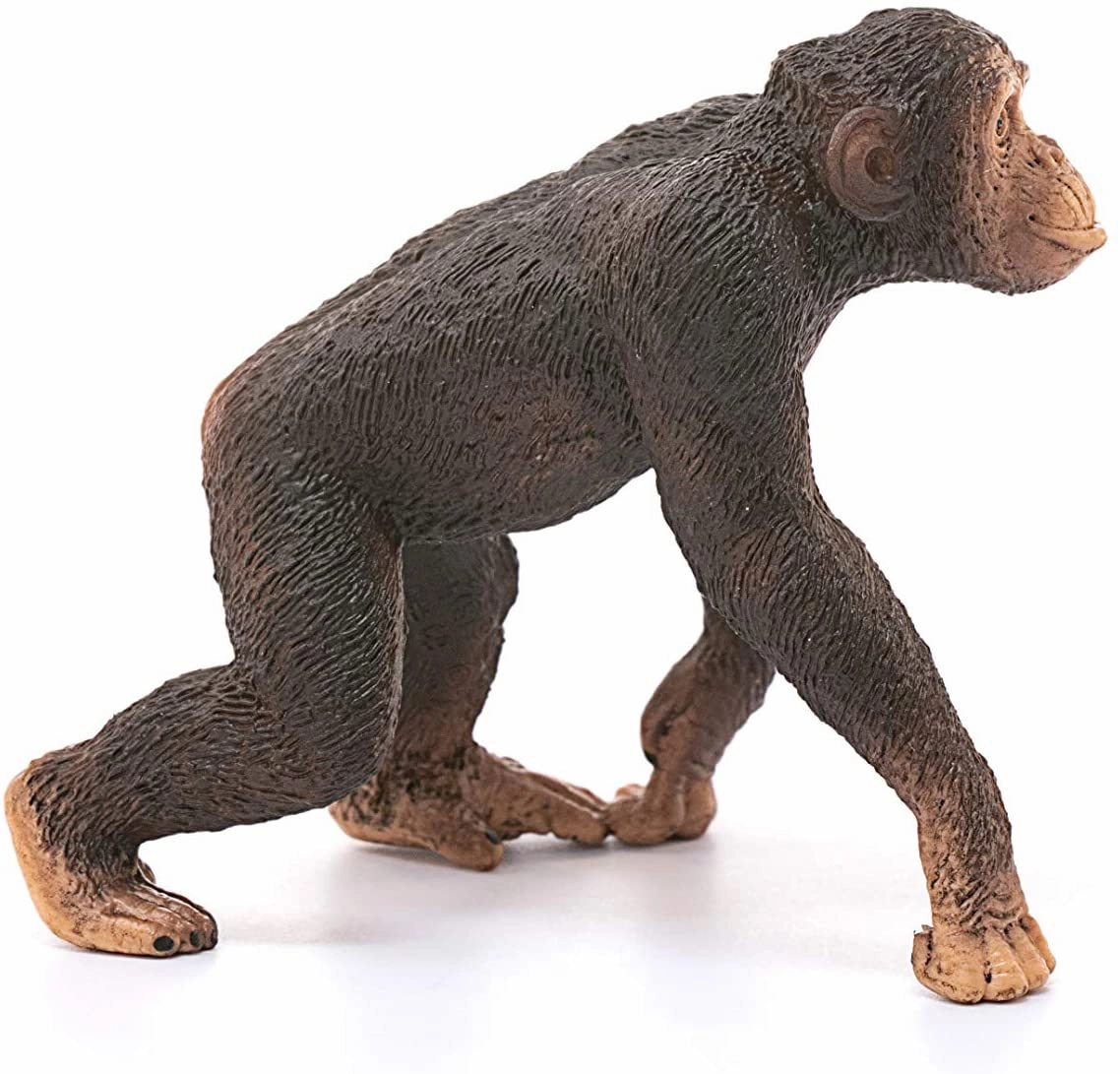 Schleich Toys Schleich 14817 Chimpanzee, Male