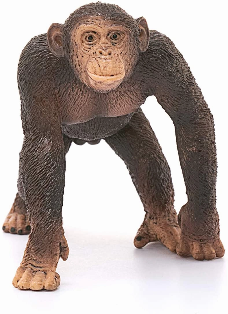 Schleich Toys Schleich 14817 Chimpanzee, Male