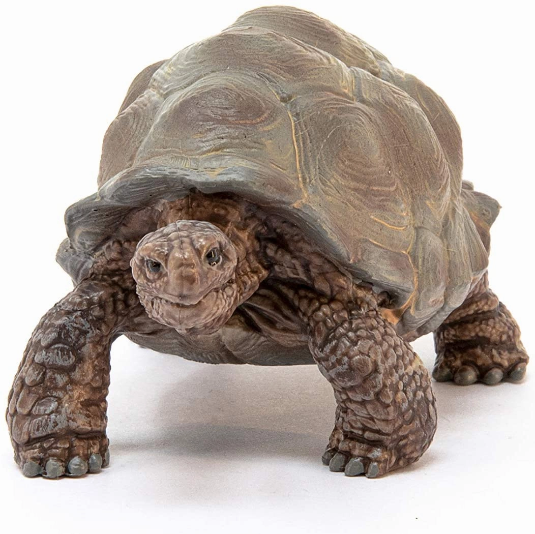 Schleich Toys Schleich 14824 Giant Tortoise Wild Life