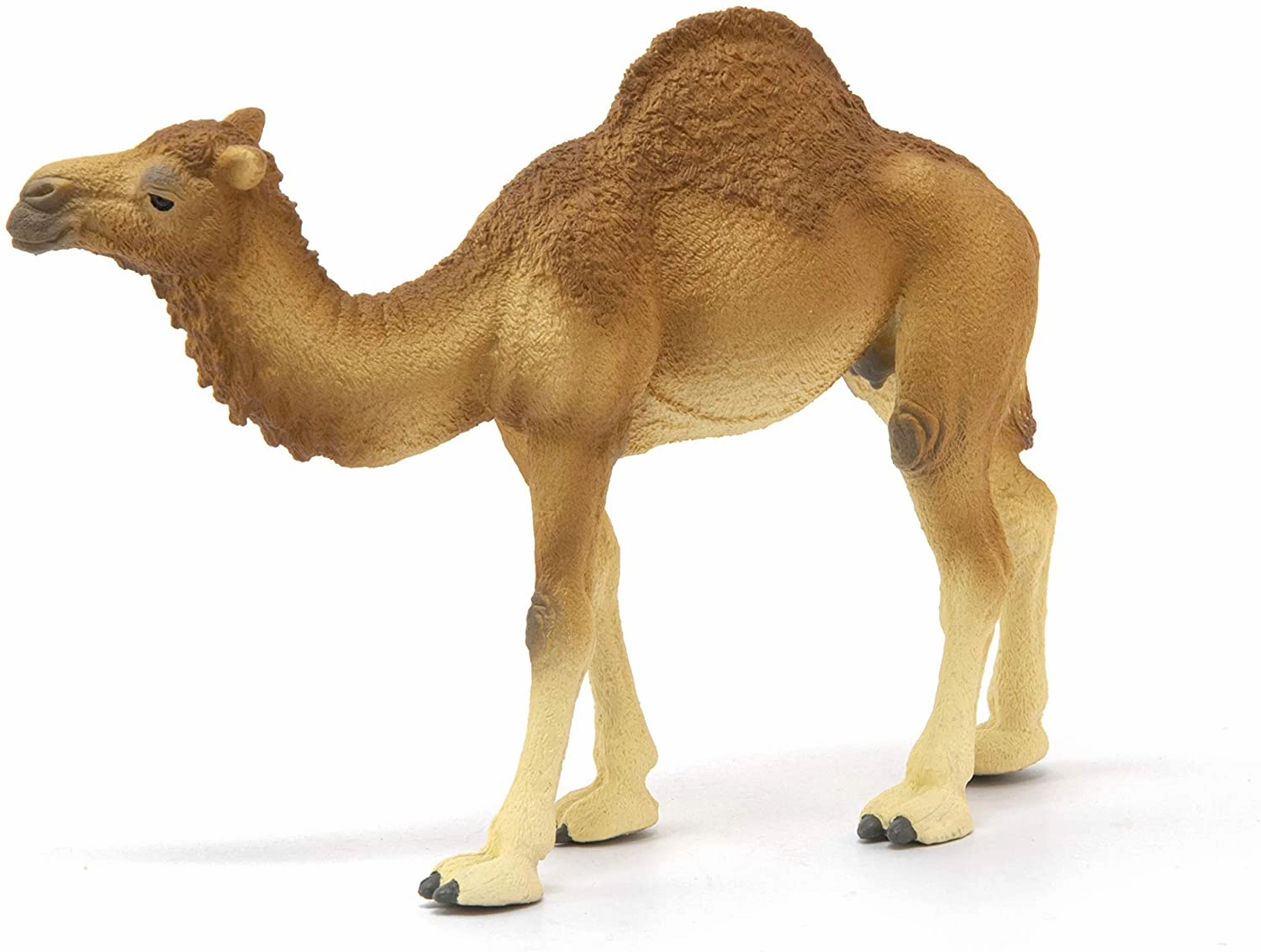 Schleich Toys Schleich 14832 Dromedary Wild Life
