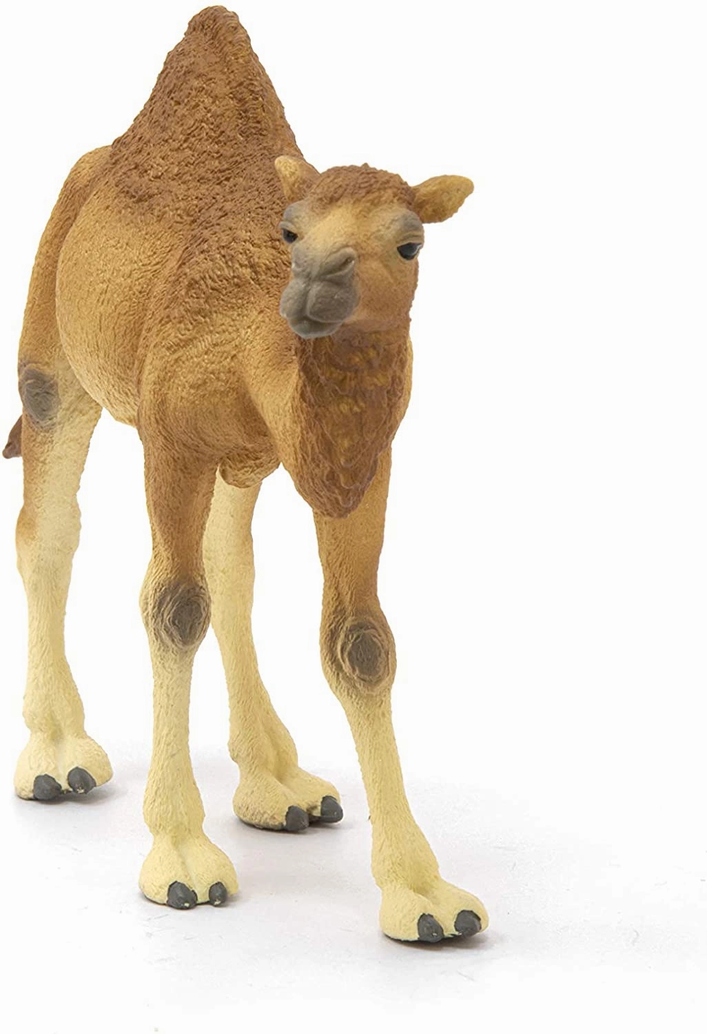 Schleich Toys Schleich 14832 Dromedary Wild Life