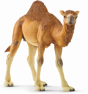 Schleich Toys Schleich 14832 Dromedary Wild Life