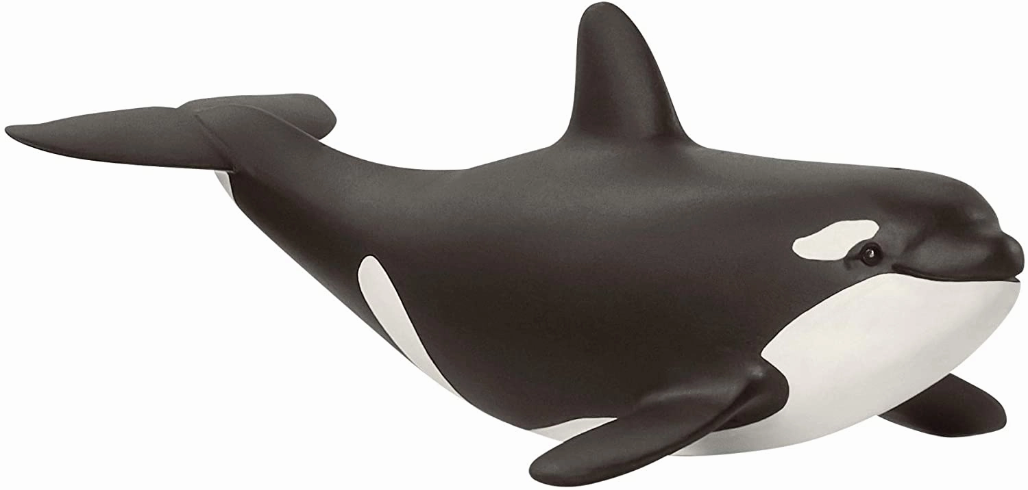 Schleich Toys Schleich 14836 Baby Orca Wild Life