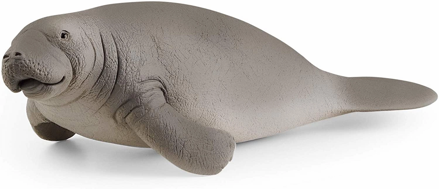 Schleich Toys Schleich 14839 Wild Life Manatee
